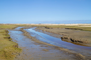 Tidal creak meandering in a salt marsh 