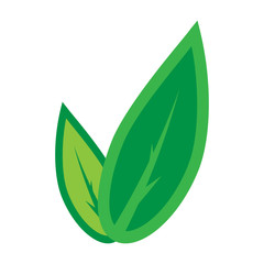Tea leaves icon. Vector illustration of green tea leaves. Logo green tea leaves.