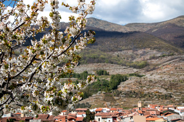 Valle del Jerte
