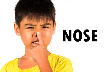 English language learning card with portrait of 8 years old child touching and pointing nose with his finger as part of school cards set of body and face parts in education concept