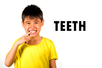 English language learning card with portrait of 8 years old child pointing his teeth isolated on white background as part of school cards set of body and face parts