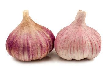 Fototapeta premium Garlic on white background isolated
