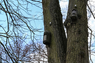 Several old birdhouses hanging in the trees
