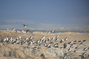 HUSUAIA(patagonia/Argentina)