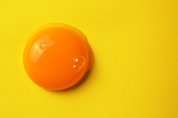 Raw egg yolk on the yellow background