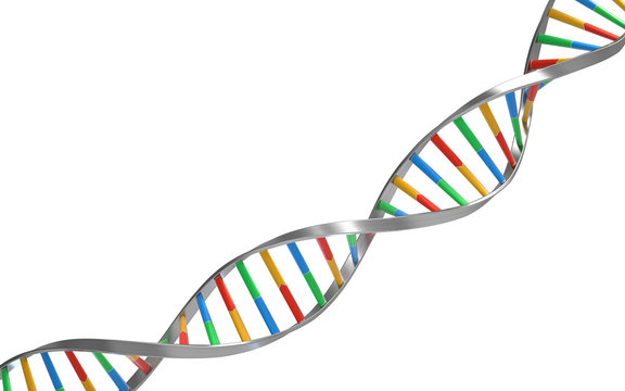 DNA molecules, structure of the genetic code, 3d rendering,conceptual image.