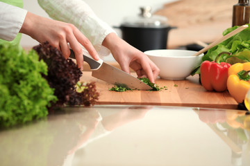 Unknown human hands cooking in kitchen. Woman is busy with vegetable salad. Healthy meal, and vegetarian food concept