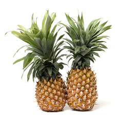 Fototapeta premium Pineapple on white background