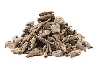 black fungus on white background