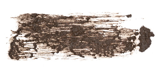 Mud splatter isolated on white background, with clipping path
