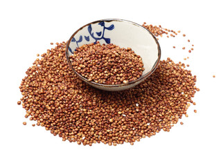 Sorgo seed (Sorghum Moench)