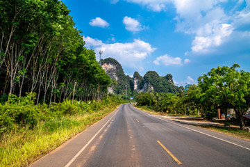 The empty asphalt road with rubber trees and mountains on sunny day with blue cloudy sky. Rural landscape in Thailand 