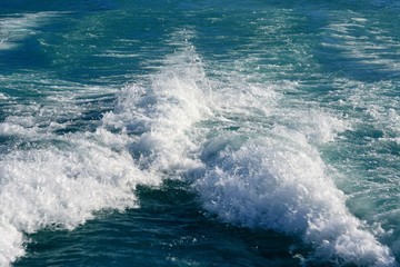 EL CALAFATE(Rios de Hielo/Patagonia/Argentina)