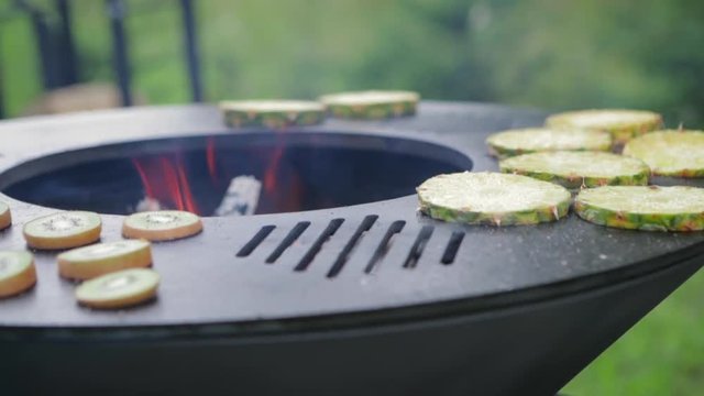 Healthy summer food. Assorted delicious grilled meat with vegetable on a barbecue. Sweet juicy pineapple on the grill. Picnic grill concept. Happy people having camping and bbq party outdoor.