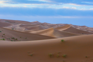 Fototapeta na wymiar Sahara, Marokko