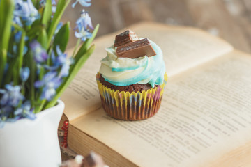 Handmade chocolate muffin with decorations. Book and a bouquet of Scilla, blurred background