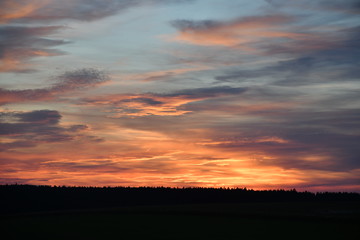 sunset on spruce forest