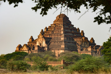 Close-up view of one of the many temples in Bagan (formerly Pagan) during sunset. A beautiful tree...