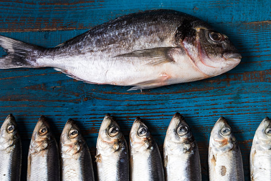 Fish pattern. Herring fish and seabass fih on an old blue wooden background.