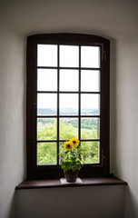 Sonnenblumen im Fenster