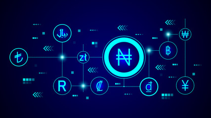 naira icon. From Crepto currency set