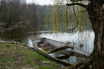 Sunken boat under a willow tree in a lake
