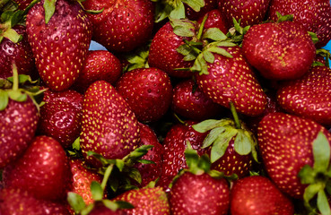 Organic red strawberries
