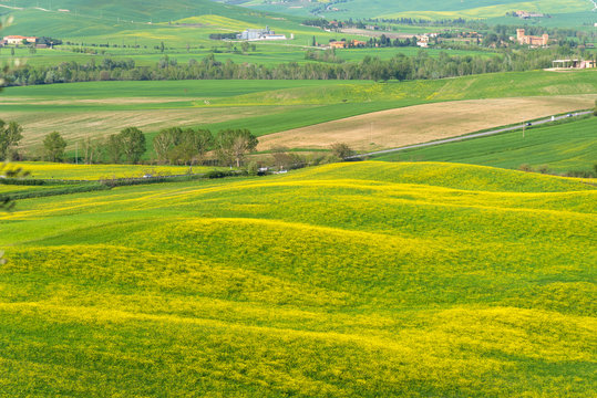 Beautiful farmland rural landscape, colorful spring flowers in Tuscany, Italy. © Ekaterina Loginova