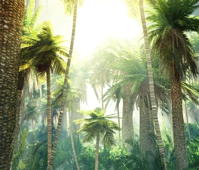 Dschungel im Rauch, Palmen im Nebel, morgendlicher Tropenwald © ustas