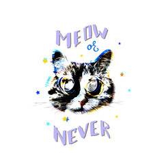 "Meow or Never" Vector poster 