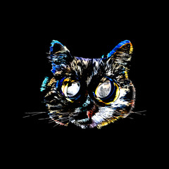 abstract cat portrait