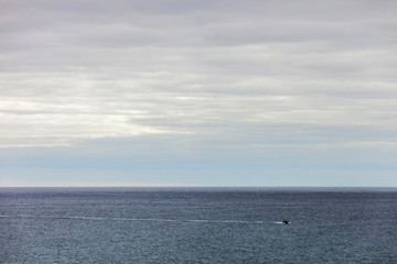 Obraz premium Speedboat sailing across open ocean water.