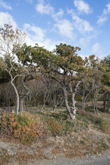 Small Utrish, Caucasus,  Russia