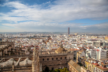 Seville skyline from the Cathedral bell tower