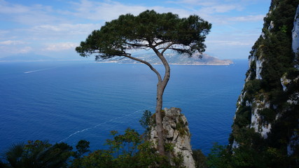 Fototapeta na wymiar View from a cliff on the island of Capri, Italy, and rocks in the sea