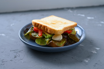 sandwich with fish on a gray background
