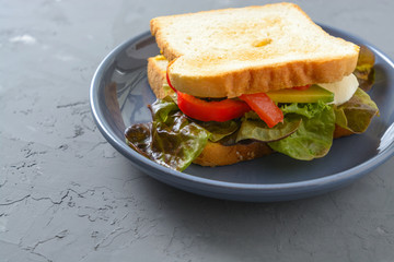 close-up of sandwich in plate on grey background