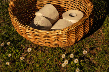 Basket of Toilet Paper with Daisies in the Meadow