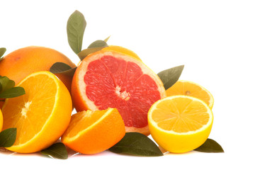 Citrus fruit. various citrus fruits with leaves of lemon, orange, grapefruit on a white isolated background