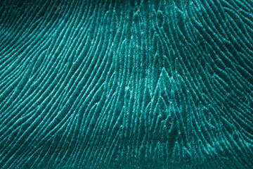 Obraz premium Texture fibrous and wrinkled fabric colors sea waves closeup view from the top down