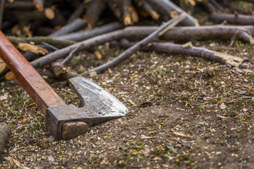 Old ax with a wooden handle on the ground next to a group of branches.