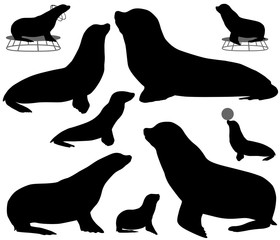 Collection of silhouettes of california sea lions