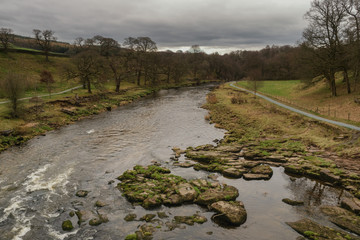 Strid Wood, one of the largest remnants of sessile oak trees in the Yorkshire Dales hugs the banks of the river Wharfe and invites visitors to walk its shaded paths. 