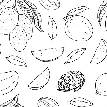 Seamless pattern with mango. Vector line drawing