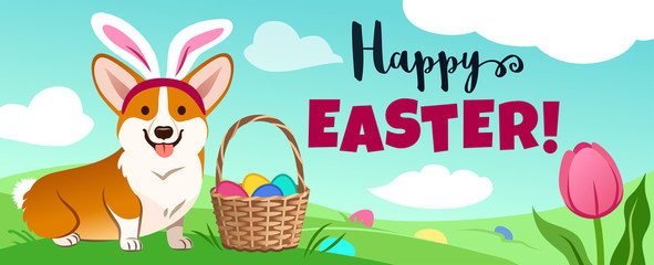 Cute corgi dog in Easter bunny costume sits in green field, basket full of candy eggs, eggs hidden in grass, vector cartoon illustration, text 
