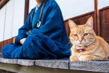猫とお坊さん