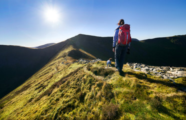 A hiker and their dog walking up towards Ladyside Pike and Hopegill Head on a sunny day in the English Lake District, UK.