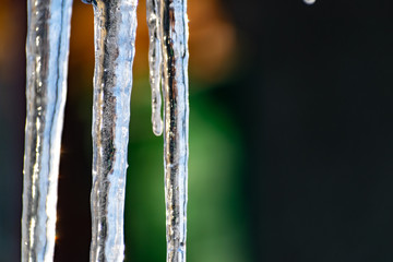 Beautiful, transparent and clean icicles at the sunset of the winter sun. Slippery, cold and smooth patterns of nature. Natural phenomenon.