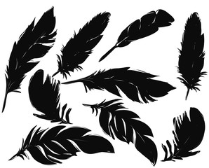 feathers silhouettes set