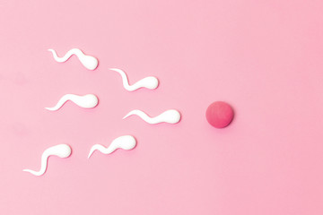 The figure of human sperm and human egg